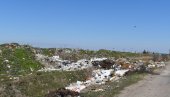 GUŠI IH DIM I SMRAD UGINULIH ŽIVOTINJA: Meštani Mokrina strepe od zaraze i traže od nadležnih uklanjanje divlje deponije (FOTO)