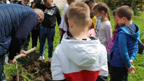 MALIŠANI ZASADILI DRVEĆE: Ekološka radionica kulturnog centra Ribnica u Kraljevu