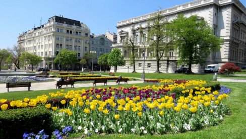 CVEĆE ULEPŠALO BEOGRAD : Rezultati jesenjih radova radnika Gradskog zelenila vidljivi širom grada