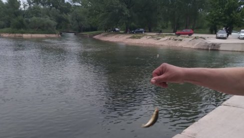 BUNA KOD MOSTARA JE PRIRODNI RAJ: U priobalju drevni stećci, u vodi zlatne ribice - uskoro počinje nesvakidašnje takmičenje (FOTO)