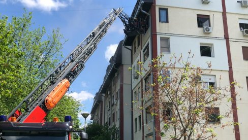 DECU SPUŠTALI VATROGASCI: Iz požara u Ulici Stevana Hristića 25 u Novom Sadu spasene 24 osobe, hospitalizovano pet stanara