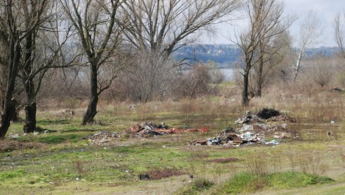 DA GRAD BUDE ČIST  I ZELENIJI: Inženjeri zaštite životne sredine pozivaju Novosađane