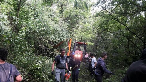 СВАКЕ ГОДИНЕ САДЕ МЛАДИЦЕ: У претходном периоду код клизишта дубоко на подручју општине Обреновац посечено око 11 хектара шуме