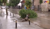 JAKO NEVREME POGODILO VRANJE: Vetar rušio drveće, na ulicama potoci (VIDEO)