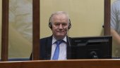 SPREČIO JE DA SE PONOVI GENOCID U JASENOVCU: Nova srpska demokratija o presudi Ratku Mladiću - general je pobednik!