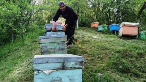ПАРАЋИНСКО УДРУЖЕЊЕ ПЧЕЛАРА ПОДСЕЋА: Расписан конкурс за подстицаје по кошници ПАРАЋИНСКО УДРУЖЕЊЕ ПЧЕЛАРА ПОДСЕЋА: Расписан конкурс за подстицаје по кошници