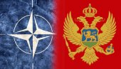ВЕРНО ПРАТЕ НАТО: Црна Гора осудила Путинов потез, уједињени су са својим западним савезницима