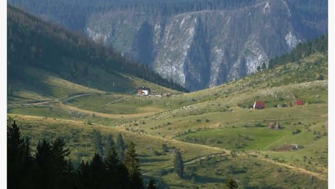 OBESIO SE NESREĆNIM SLUČAJEM? Kod Pljevalja stradao meštanin, pronađen mrtav u pčelarskoj uniformi