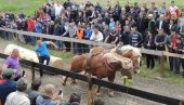 OD 11. JULA U ČESTEREGU: Održava se tradicionalna četvrta Štraparijada