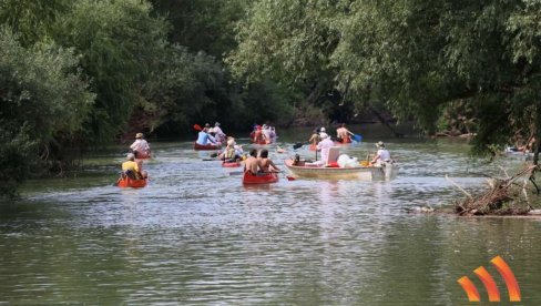 ČAMCEM PO TAMIŠU: Održana tradicionalna regata