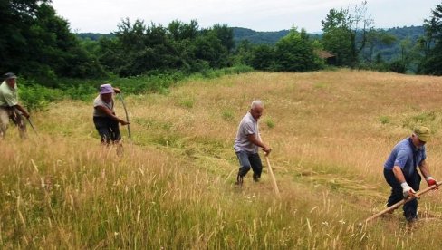 TAKMIČENJE KOSBAŠA TREBALO BI DA BUDE DEO TURISTIČKE PONUDE: Održana prva moba i takmičenje u kosidbi na Trebavi