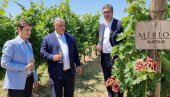 DIVNO POPODNE SA PRIJATELJEM ORBANOM I PREMIJERKOM: Vučić podelio fotografiju iz vinograda u Sremu
