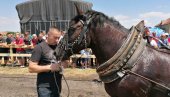 ČETVRTA ŠTRAPARIJADA ODRŽANA U ČESTEREGU: Manifestacija okupila brojne štrapare iz Srbije (FOTO)