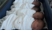 ZA DAN ROĐENO 27 BEBA: Lepe vesti iz porodilišta u Novom Sadu
