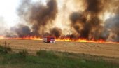 BUKTI VELIKI POŽAR KOD TROGIRA: Na terenu više od 50 vatrogasaca, podignuti avioni