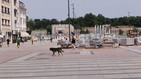 NA ULICI SAMO KO MORA: Vrelo i u Nišu - Samo radnici na Tvrđavskom mostu vredno rade na plus 40 (FOTO)