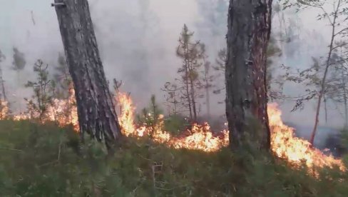 PROGLAŠENA VANREDNA SITUACIJA U PRIBOJU: Šumski požar bukti danima, ugroženo stanovništvo i imovina (VIDEO) PROGLAŠENA VANREDNA SITUACIJA U PRIBOJU: Šumski požar bukti danima, ugroženo stanovništvo i imovina (VIDEO)