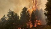 VELIKI POŽAR KOD NOVE VAROŠI: Vatrena stihija guta četinare (FOTO/VIDEO)