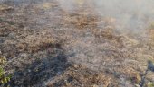ИЗГОРЕЛО ТРИ ХЕКТАРА ПАШЊАКА: Угашен пожар изнад Старих Лединаца на Фрушкој гори (ФОТО)