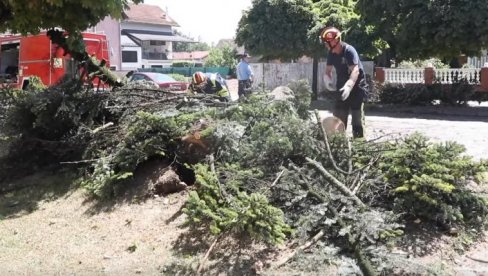 VETAR ČUPAO STABLA: Nevreme pogodilo Baniju (VIDEO)