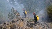 LOKALIZOVAN POŽAR NA MOKROJ GORI: Gorelo 100 hektara šume - zaustavljeno širenje vatre