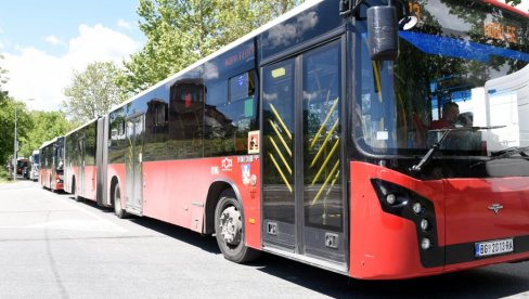 UŽAS NA LINIJI 37: Udarali žene čekićem u beogradskom autobusu, pa nastavili nasilnički pir - putnici sve zaustavili