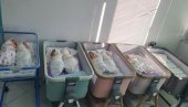 MEĐU NJIMA DVA PARA BLIZANACA: U porodilištu u Novom Sadu za vikend rođene 24 bebe