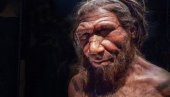 KOSTI IZ MAROKA KLJUČ RAZUMEVANJA LJUDSKE LOZE: Da li je ovo poslednji zajednički predak ljudi i neandertalaca?