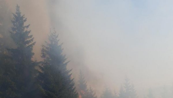 ВАТРА НА СВЕ СТРАНЕ: Букте пожари на северу Црне Горе (ФОТО)