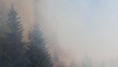 VATRA NA SVE STRANE: Bukte požari na severu Crne Gore (FOTO)