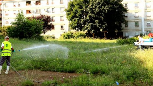 SUZBIJANJE AMBROZIJE: Počela druga faza akcije u Kraljevu