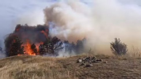 GORI NA ZLATIBORU, TARI I U UŽIČKIM SELIMA: Vatrogasci pobeđuju nadljudskim naporima (FOTO)