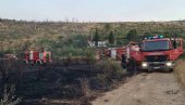 UGAŠEN POŽAR U SUTOMORU: Vatrogasci se izborili sa vatrenom stihijom u Spičanskom polju
