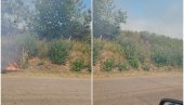 POŽAR KOD NEGOTINA: Zapalila se livada pored magistrale, gori nisko rastinje (FOTO) POŽAR KOD NEGOTINA: Zapalila se livada pored magistrale, gori nisko rastinje (FOTO)