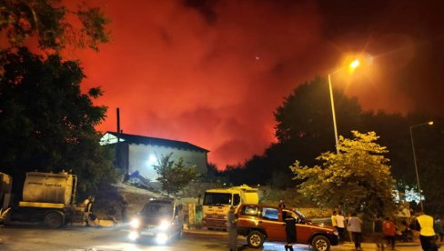 SAV UŽAS POŽARA U GRČKOJ U JEDNOJ SLICI: Dečak u rukama nosi jagnje dok beži od vatrene stihije (FOTO)