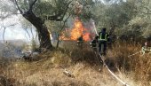 VELIKI POŽAR U PEČURICAMA: Izgorelo stotinu maslina, ugrožena škola i kuće (FOTO/VIDEO)