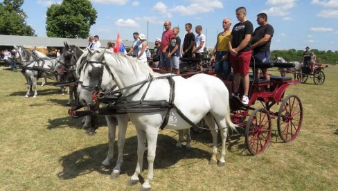 ПРЕЛЕПА МАНИФЕСТАЦИЈА: Одржана фијакеријада у Дреновцу (ФОТО)