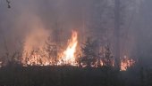 PAKAO U RUSIJI: Stotine požara bukti širom zemlje, vatra zahvatila 1.277.628 hektara
