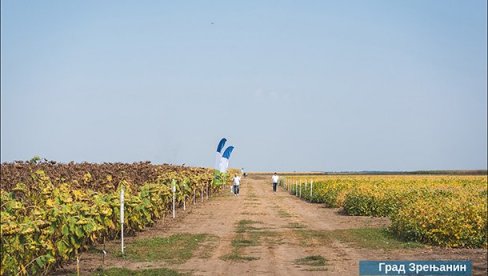 DAN POLJA JESENJIH KULTURA NA ZLATICI: Dobra prilika da se čuje reč stručnjaka