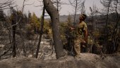 POSLEDICE STRAŠNIH POŽARA: Uništena trećina šuma na Eviji!