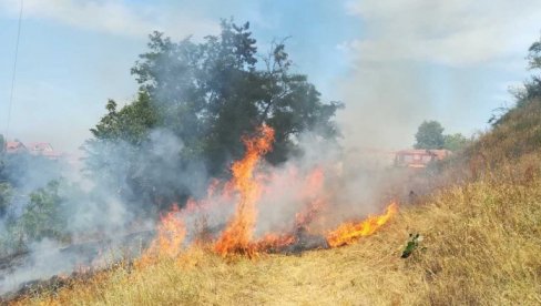 U LESKOVCU OD 5 DO 10 POŽARA DNEVNO: Vatrogasci se svakodnevno bore sa vatrom na otvorenom (FOTO)