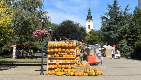 JUBILARNI, 40. „DANI LUDAJE“ U KIKINDI OD 18. DO 21. SEPTEMBRA: Praznik jeseni i džinovskih bundeva JUBILARNI, 40. „DANI LUDAJE“ U KIKINDI OD 18. DO 21. SEPTEMBRA: Praznik jeseni i džinovskih bundeva
