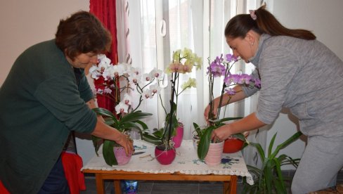 SEOSKI MIR NEMA CENU: Ivana Bošković iz Jagodine završila master i za mužem otišla iz grada