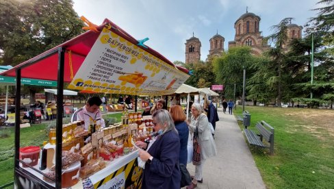 DAŠ KRV DOBIJEŠ TEGLU MEDA: Dobrovoljna akcija u nedelju na Tašmajdanu