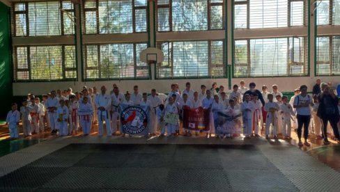 KARATE KUP U SPORTSKOM CENTRU ŽARKOVO: Medalje najboljim borcima