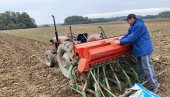 UPITNA JESENJA SETVA? Ogromno povećanje cena semenske robe i veštačkog đubriva