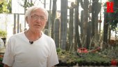 OD SVAKE ZEMLJE MOGU DA NAPRAVIM ŠAKU ZLATA: Novica Janjić je uzgajivač najvećeg kaktusa (VIDEO)