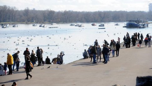 TRAŽE REŠENJE ZA ZEMUNSKI KEJ: Raspisan konkurs za ideju obnove obale od kule Gardoš do Pupinovog mosta