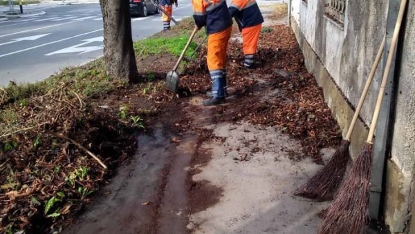 АКЦИЈА ЧИШЋЕЊА У ЗЕМУНУ: Комуналци уредили улице на Галеници