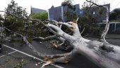 ОРКАНСКИ ВЕТАР У АУСТРАЛИЈИ: Чупао кровове и обарао дрвеће, 450.000 домова остало без струје (ВИДЕО)